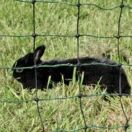 Secure Your Garden with the Best Rabbit Electric Fence - Buy Now!
