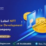 Do You Require White Label NFT Marketplace Development? Choose The Right place! 