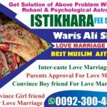 Get Your Ex-Husband Back Get Your Lost Love Back Husband Wife Problems Solutions