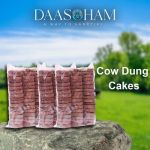 Fresh Cow Dung Cake In India