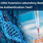 The Importance of Cell Line Authentication to Protecting Your Research Investment