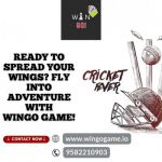 Dive into Excitement with Wingo Game!