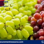 Crunching the Numbers: A Deep Dive into Grape Production Cost Analysis