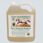 How Can Aloe Vera Help Horses? 