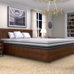 Discover Best Ortho Active Mattress: Centuary Mattress Store in Chennai