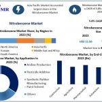 Nitrobenzene Market Share, Global Industry Size, Trends, Emerging Factors, Demands, Key Players, Emerging Technologies and Potential of Industry