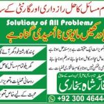 Love marriage problem solution USA/love marriage problem solution Dubai Kuwait/divorce problem solution