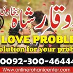 Love marriage problem solution USA/love marriage problem solution Dubai Kuwait/divorce problem solution