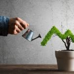 Elevate Your Business with Expert Coaching Services