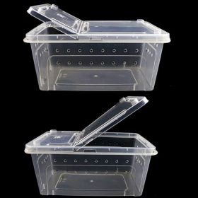 Find the Perfect Bird Brooder at UAE Bird Farm - Shop Now!