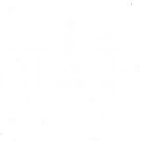 Zero Trust Networks: The Future of Enterprise Security