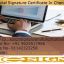 Best digital signature certificate Agency In Chennai
