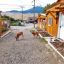 Reconnect with Nature: Book Your Winter Cabin Getaway!