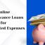 Cash Advance Loans with Instant Approval Online
